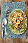 Salad with tuna, egg, cucumber and red radishes for Easter