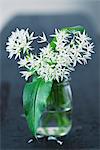 Wild garlic with flowers in a glass of water