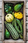 Different types of courgettes, view from above