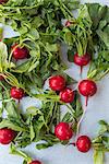 Radishes with leaves