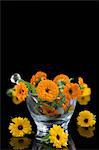 Fresh marigolds in a glass mortar