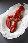 A whole cooked lobster on white paper