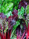 Fresh chard (seen from above)