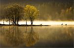 Autumn at Loch Ard, Trossachs National Park, Stirling Region, Scotland, United Kingdom, Europe