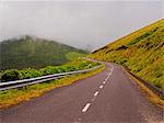 Road on Flores Island, Azores, Portugal, Atlantic, Europe