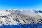 Erbe Pass and the forest on the side of the Gardena Valley after a snowfall, Funes Valley, Sudtirol (South Tyrol), Dolomites, Italy, Europe