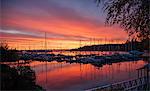 Boats in harbour at sunset, Bainbridge, Washington, USA