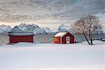 Typical Rorbu in the snowy landscape at sunset on the fjord, Djupvik, Lyngen Alps, Tromso, Norway, Europe