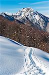 Mount Resegone from Pertus pass in winter season, Lecco, Lombardy, Alps, Italy, Europe