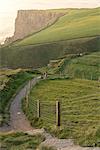 Cliffs of Moher, Liscannor, Co. Clare, Munster province, Ireland. A path way along the Cliffs Of Moher