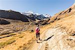 Hiker on footpath with Zufallspitze in the background, Val Martello, Venosta Valley, province of Bolzano, South Tyrol, Italy