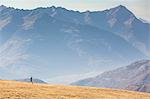 Runner on the slopes of Scermendone with Orobie Alps on background, Valtellina, province of Sondrio, Lombardy, Italy