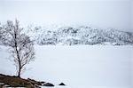 Tranquil, snow covered landscape, Kanstad, Hinnoya, Norway