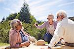 Active senior friends using camera phone, enjoying summer picnic