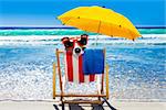 jack russell dog resting and relaxing on a hammock or beach chair under umbrella at the beach ocean shore, on summer vacation holidays,