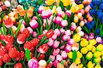 Wooden flowers for sale in Bloemenmarkt, Amsterdam, Netherlands, Europe