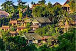 Sunlit rooftops of houses among the tree tops in Ubud District in Gianyar, Bali, Indonesia