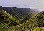 Barranco La Goleta, gorge, trail from Cruz del Carmen to Bajamar, Anaga Rural Park, Tenerife Island, Canary Islands, Spain, Atlantic, Europe