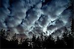 Clouds overs forest at night, Bainbridge, Washington, United States