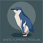 Vector image of the square-angled Flat white-flippered penguin