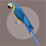 Vector image of the Flat polygonal Blue-and-Yellow Macaw
