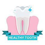 Healthy tooth and gum. Flat vector cartoon illustration. Objects isolated on white background.