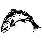 vector monochrome illustration with salmon for design.