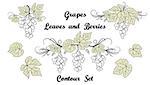 Set of Plant Pictograms, Grape Berries and Leaves, Black Contour on White Background. Vector