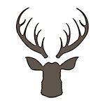 Reindeer with horns illustration. Deer hipster icon. Head deer silhouetted. Hand drawn stylized element design.