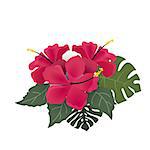 Vector illustration hibiscus flower. Background with tropical flowers and palm leaves