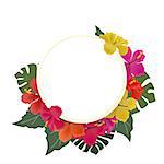 Vector illustration of hibiscus flower. Background with tropical flowers and palm leaves with text frame