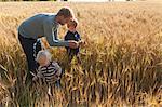 Father and sons in wheat field examining wheat, Lohja, Finland