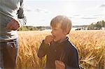 Father and son in wheat field tasting wheat, Lohja, Finland