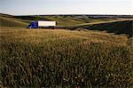 commercial truck driving though wheat fields of eastern Washington, USA at sunset.