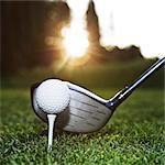 A closeup of a driver and a ball about to be driven on a golf course.