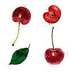 Cherry, isolated hand-painted illustration on a white background