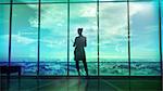 The pictures file illustrates the silhouette of a business woman on the background of corporate infographics.