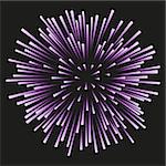 Lilac fireworks on a black background. Celebration, show, boom, isolated objects, vector illustration