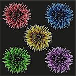 5 multi-colored fireworks on a black background. Set, isolated objects, vector illustration
