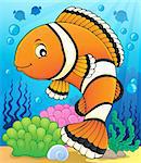 Clownfish topic image 2 - eps10 vector illustration.