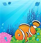 Clownfish topic image 4 - eps10 vector illustration.