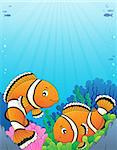 Clownfish topic image 5 - eps10 vector illustration.