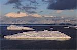 Early morning atmospheric cloud and mist, mountains, glaciers and icebergs, Neko Harbour, Andvord Bay, Graham Land, Antarctica, Polar Regions