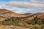 Barranco de las Penitas (Penitas Ravine) on the volcanic  island of Fuerteventura, Canary Islands, Spain, Europe