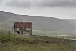 Abandoned farmhouse, Westfjords, Iceland, Polar Regions