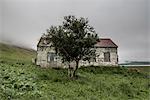 Abandoned farmhouse, Westfjords, Iceland, Polar Regions