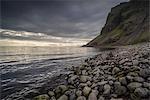 Strandir Coast, Westfjords, Iceland, Polar Regions