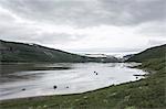 Drangajokull Glacier, Westfjords, Iceland, Polar Regions