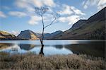 View over Buttermere to Fleetwith Pike in autumn, Lake District National Park, UNESCO World Heritage Site, Cumbria, England, United Kingdom, Europe