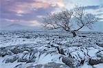 View to Ingleborough Hill from Twisleton Scar at sunrise in winter, Ingleton, Yorkshire Dales National Park, North Yorkshire, Yorkshire, England, United Kingdom, Europe